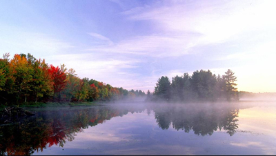 Autumn Leaves and Lake