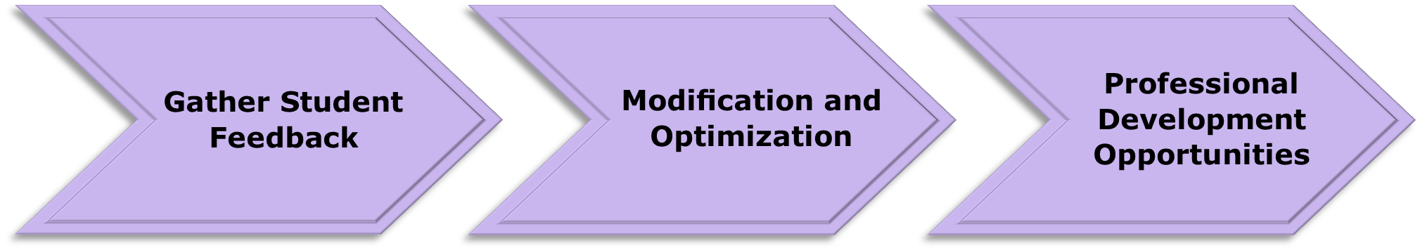 Student Feedback, Optimization, Professional Development