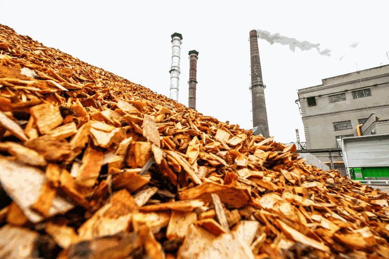 Biomass.gif