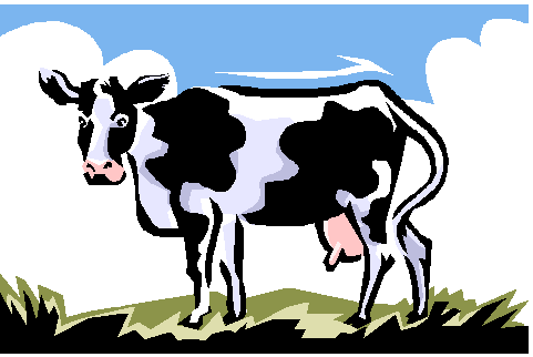 dairycow.gif