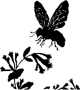 Pollination