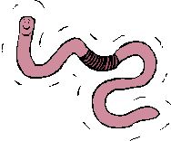 Earthworm