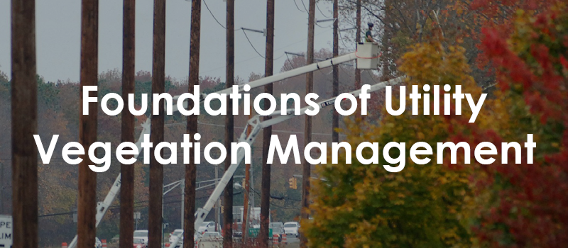 Foundations of UVM - Wisconsin Forestry Center | UWSP