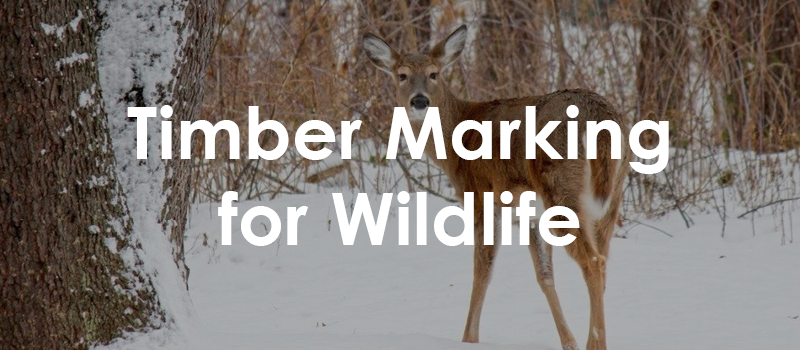 Marking for Wildlife Banner.png