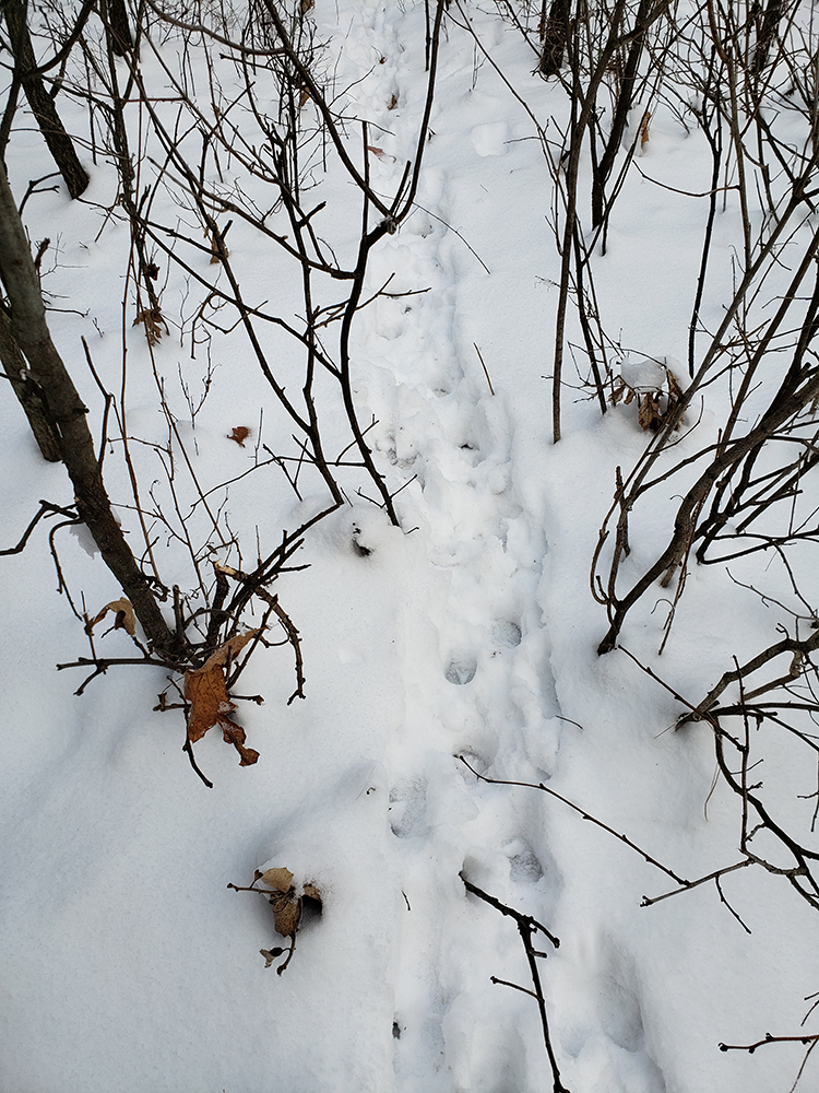 20210107_150858.jpg