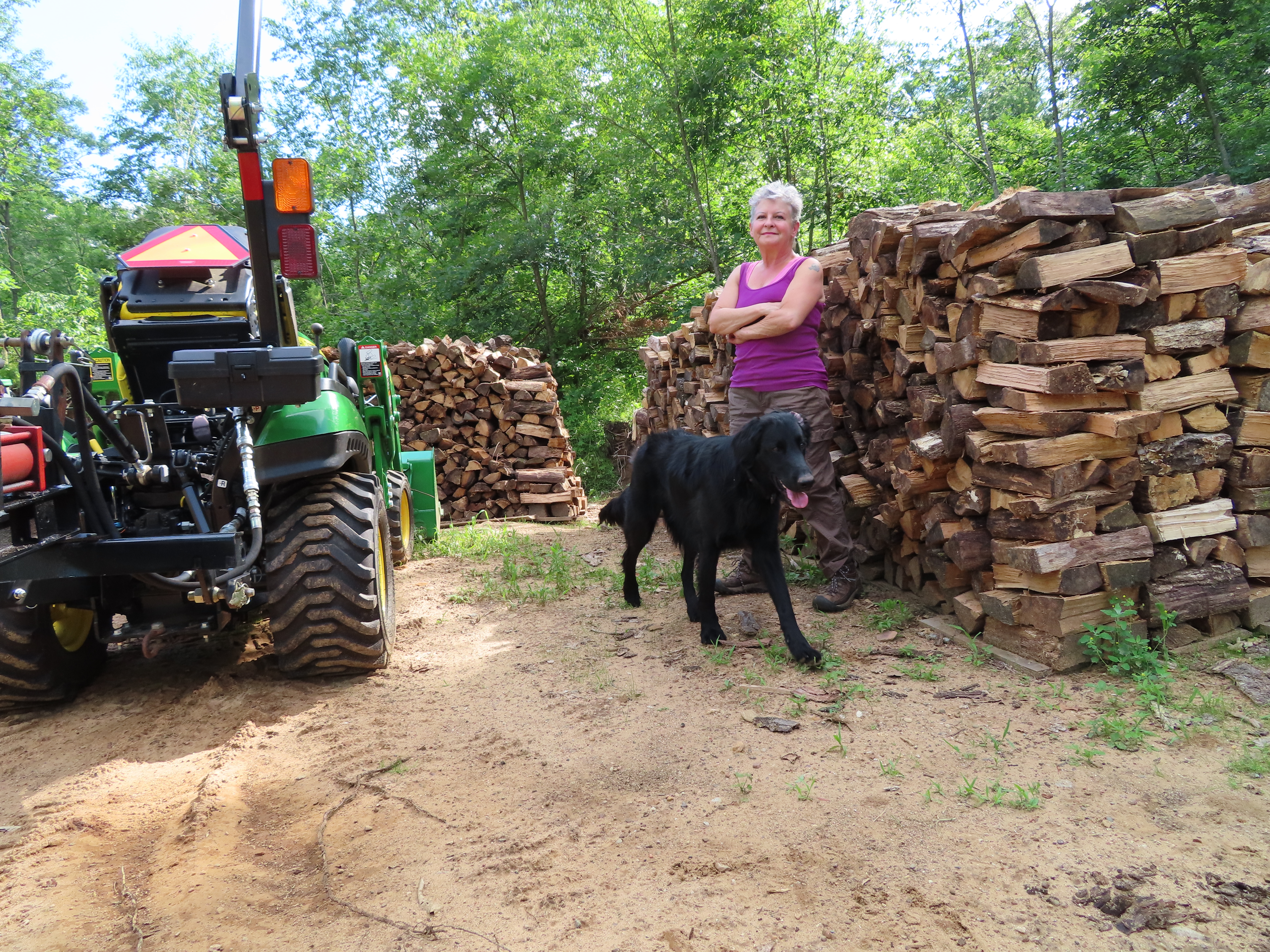 woodpile.JPG