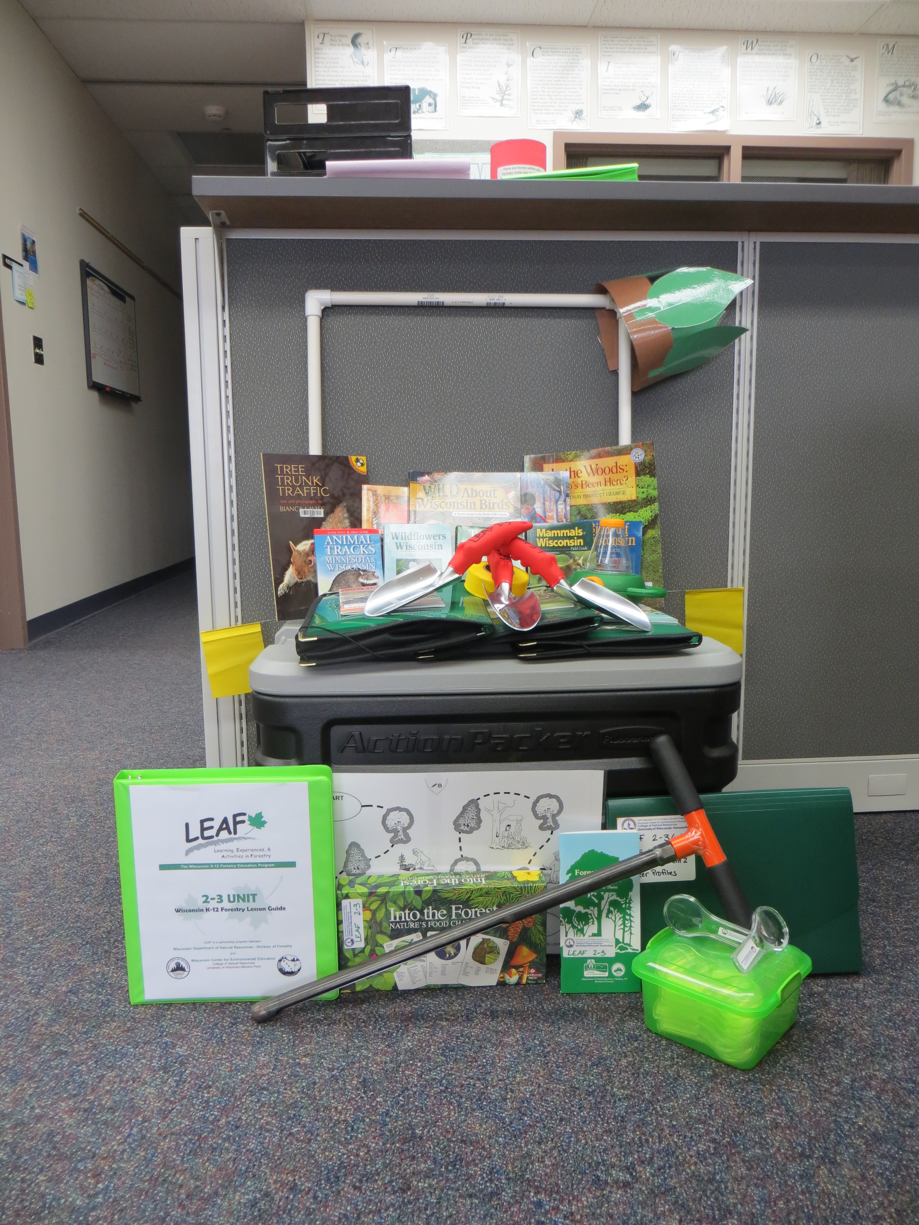 LEAF 2-3 kit 033.JPG