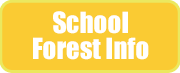 School-Forest-Button.png