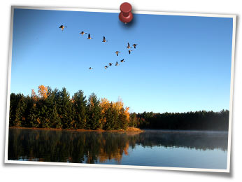 GeeseonLake.jpg