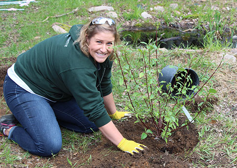 Habitat restoration at Schmeeckle