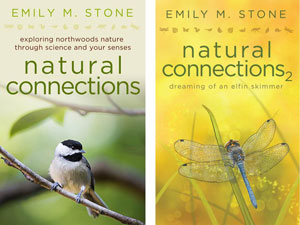 Emily-Stone-Books-FOR-WEB.jpg