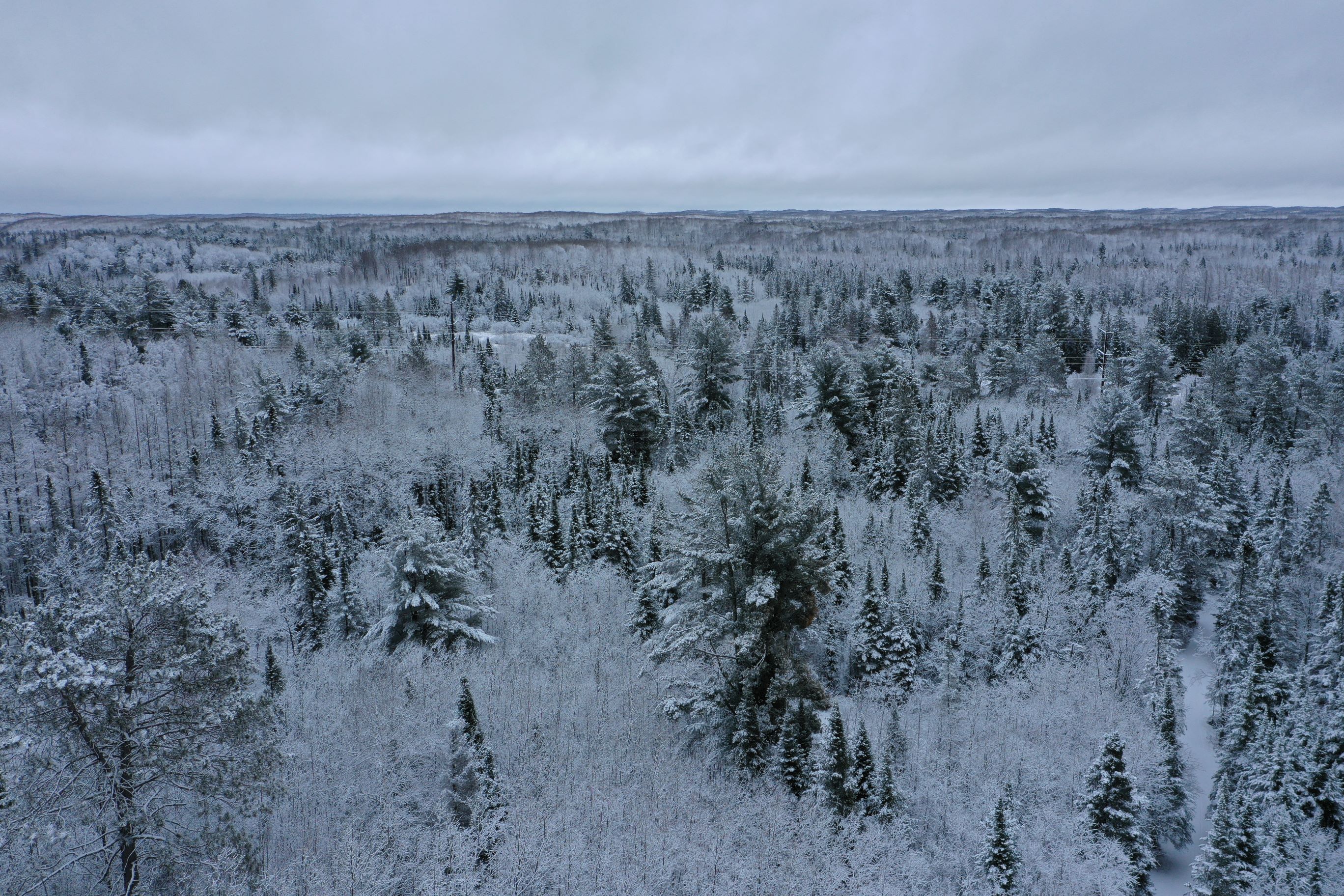 Licia and Eugene2.jpg