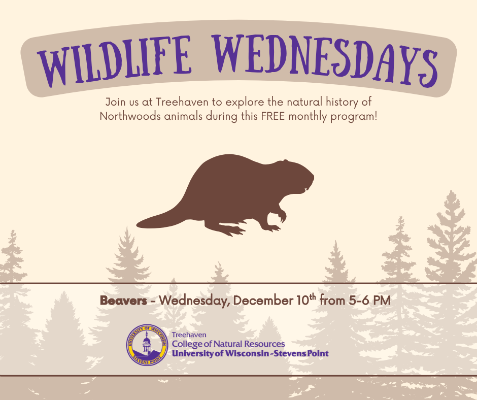 Licia and Eugene2.jpg