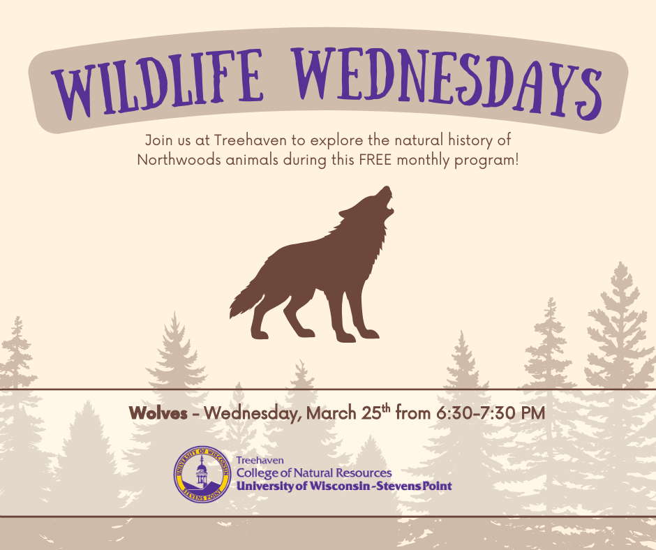 Wildlife Wednesday Info Graphic