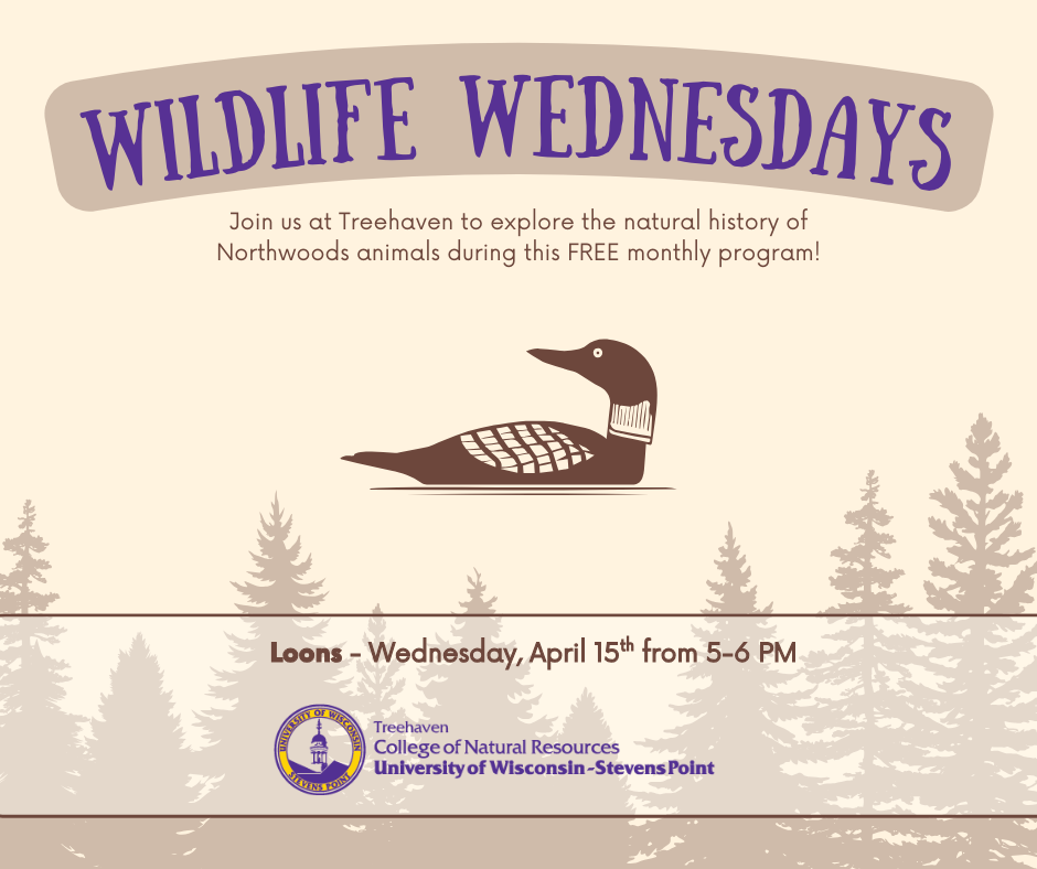Wildlife Wednesday Info Graphic