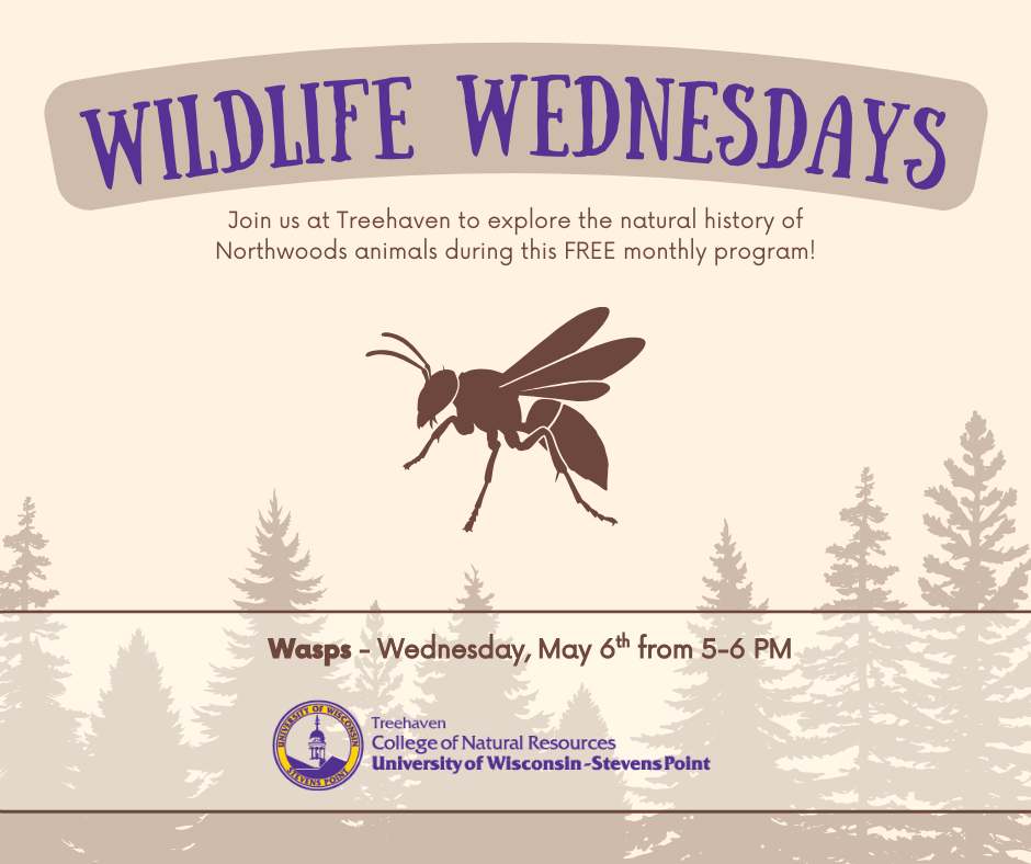 Wildlife Wednesday informational graphic