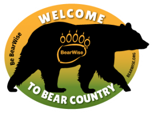 BearWise Logo