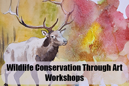 Wildlife Conservation Through Art Workshops