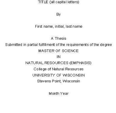 appendices in thesis