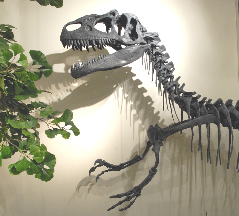 dinosaur-alcove-allosaurus.jpg