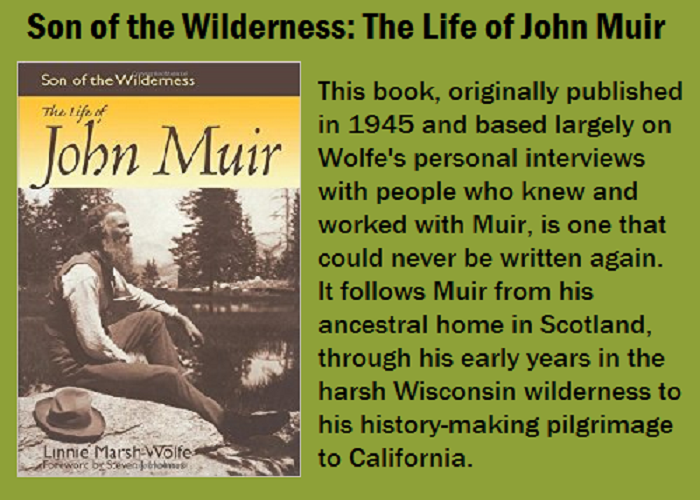 gift shop son of the wilderness the life of john muir