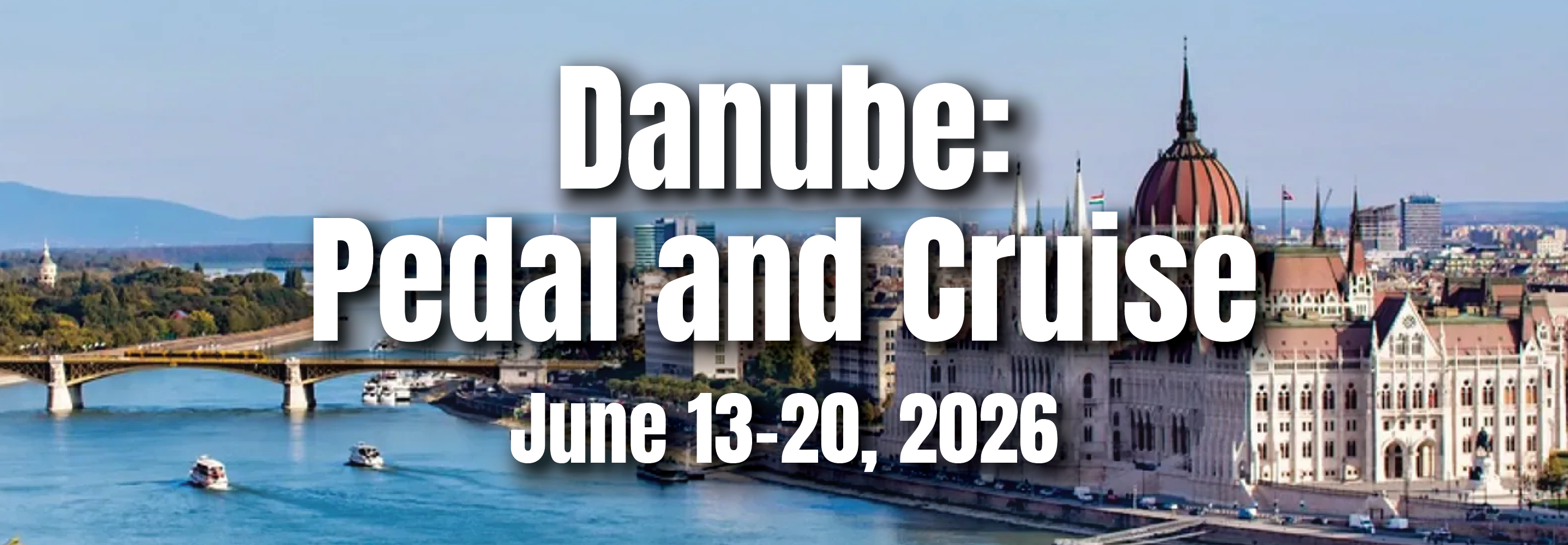 Danube Website Banner.png