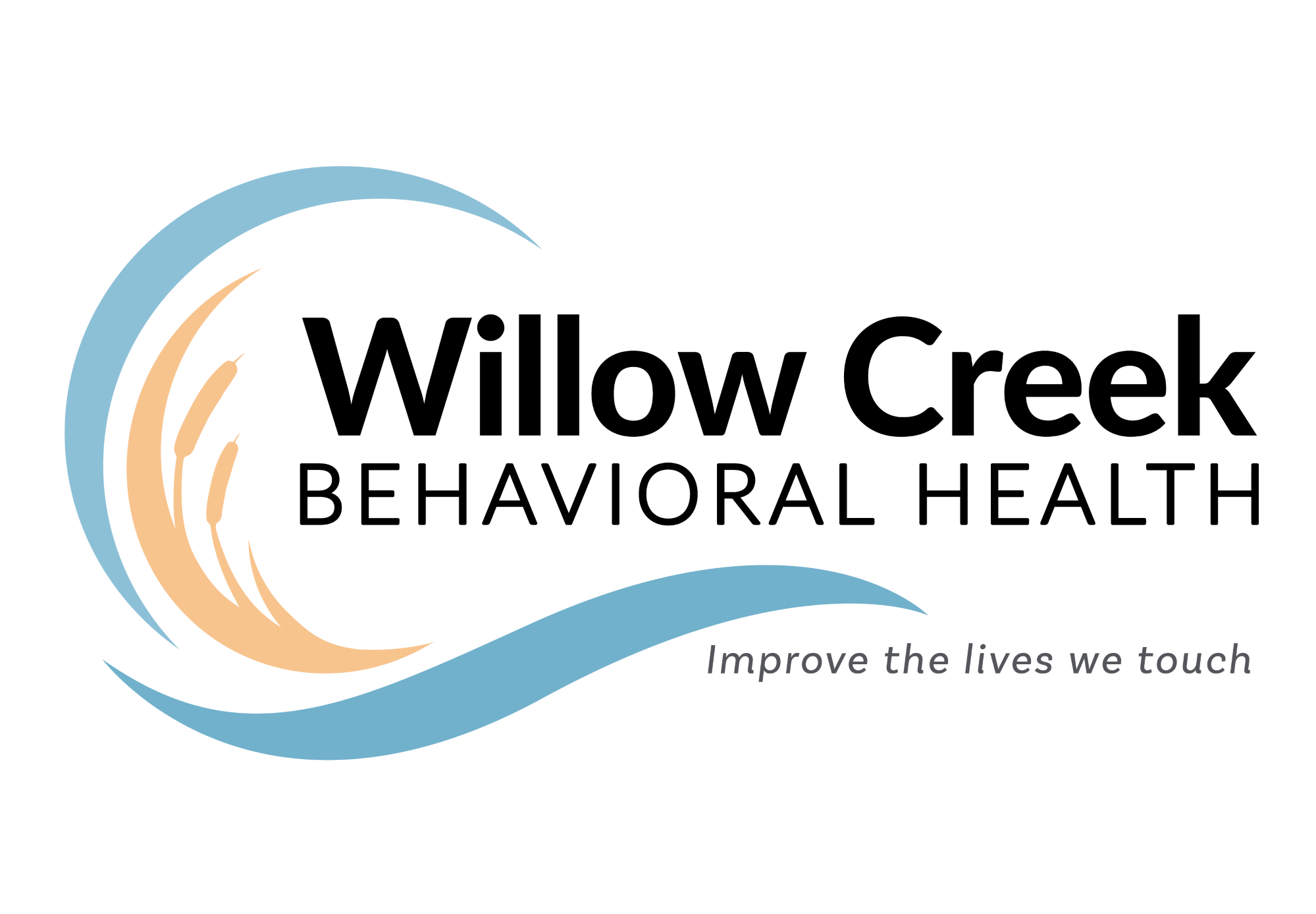 Willow Brook Behavioral Health