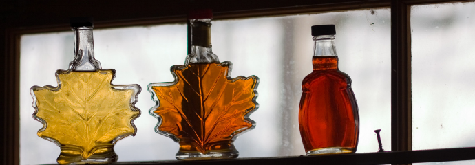 Maple Syrup Taste Testing.png
