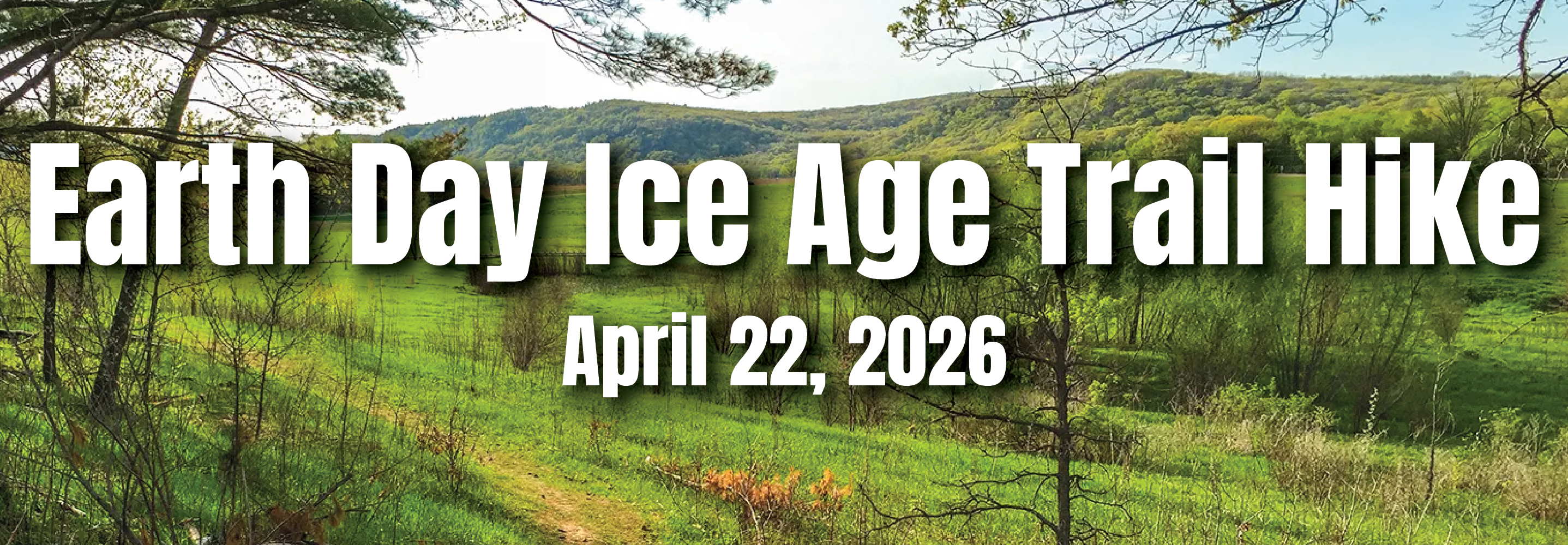 Website Banner-EDIAG.png