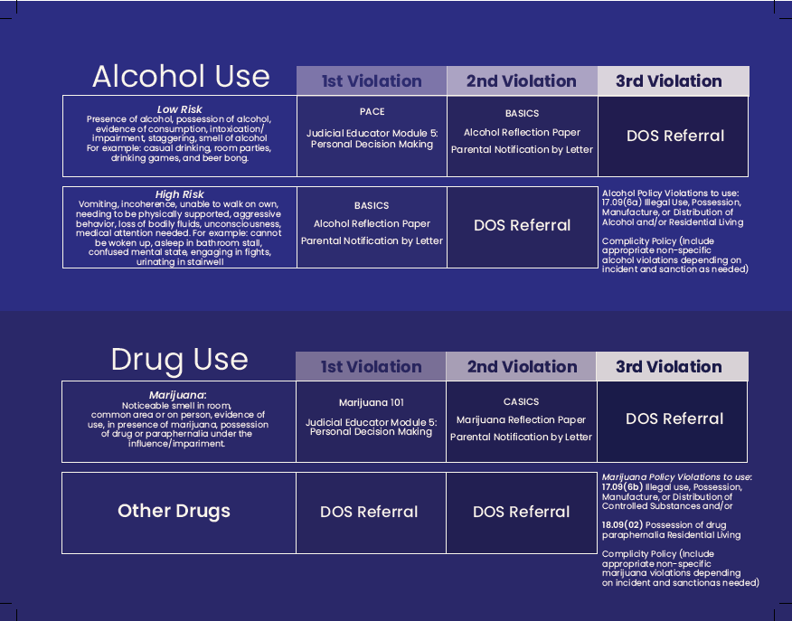 image of alcohol or drug use conduct sanctions