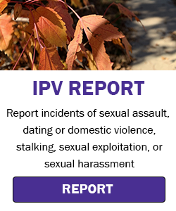 IPV Report - Wausau Campus