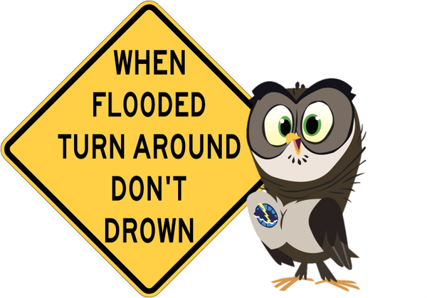 cartoon of an owl with a road sign that says 'WHEN FLOODED TURN AROUND DON'T DROWN'