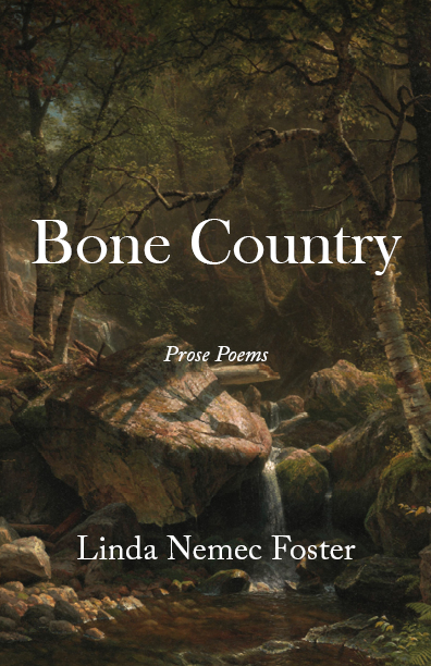 Bone Country_Front Cover.png