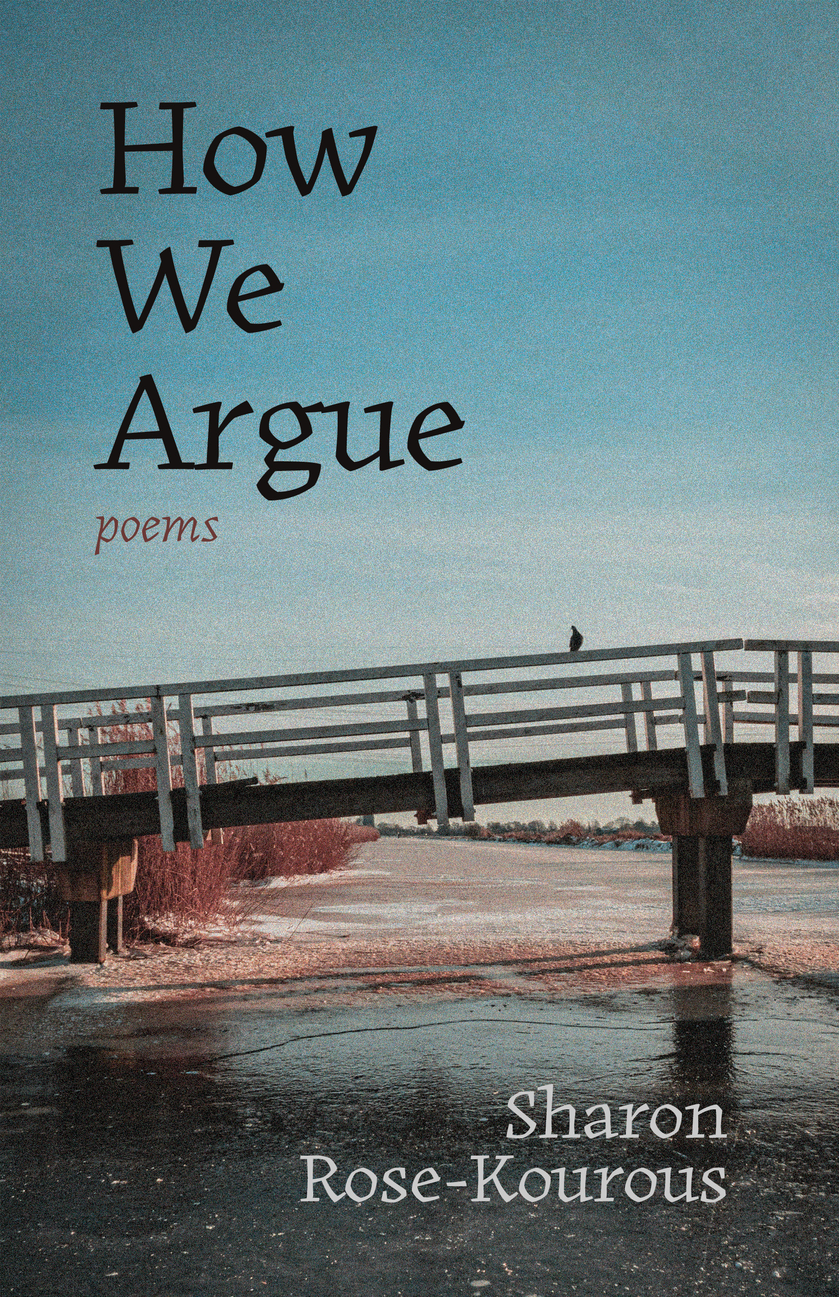 How We Argue_FINAL FRONT COVER.jpg