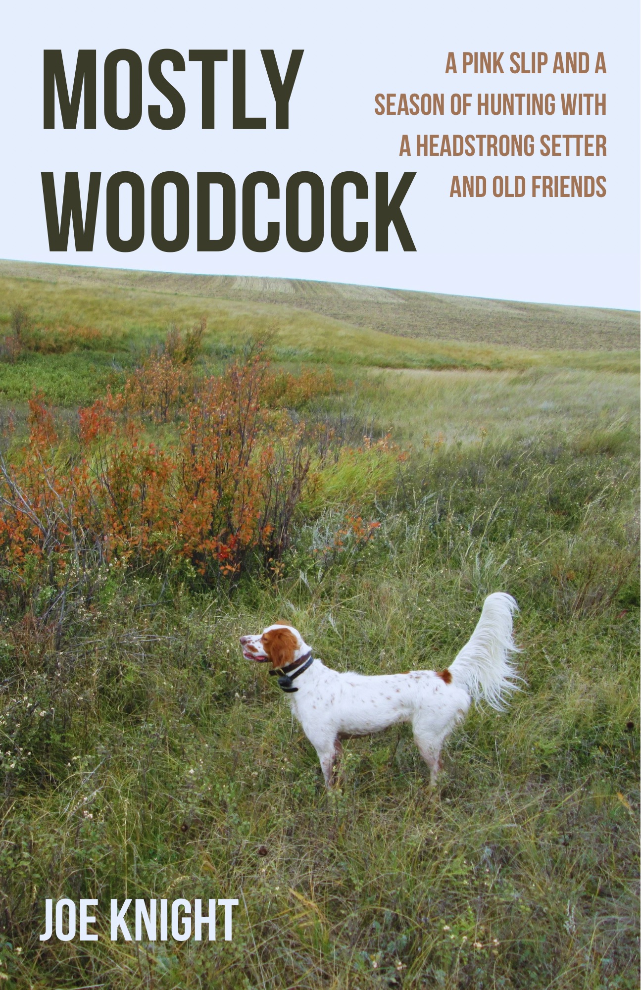 Even the Sky_Front Cover_FINAL.png