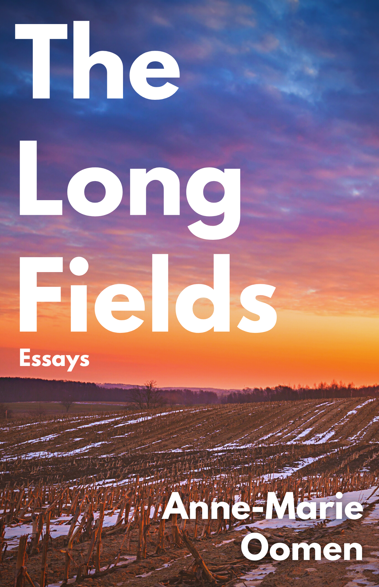 Longfields Cover Final.png