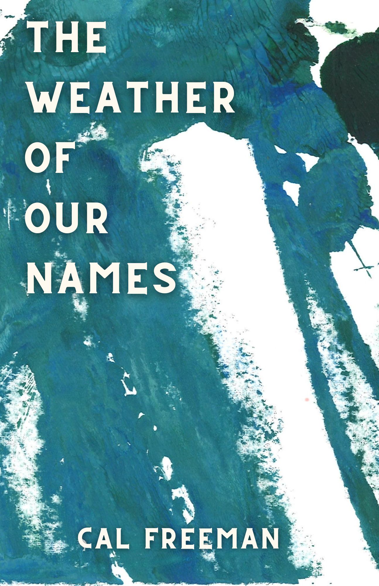 The Weather of Our Names (2).jpg