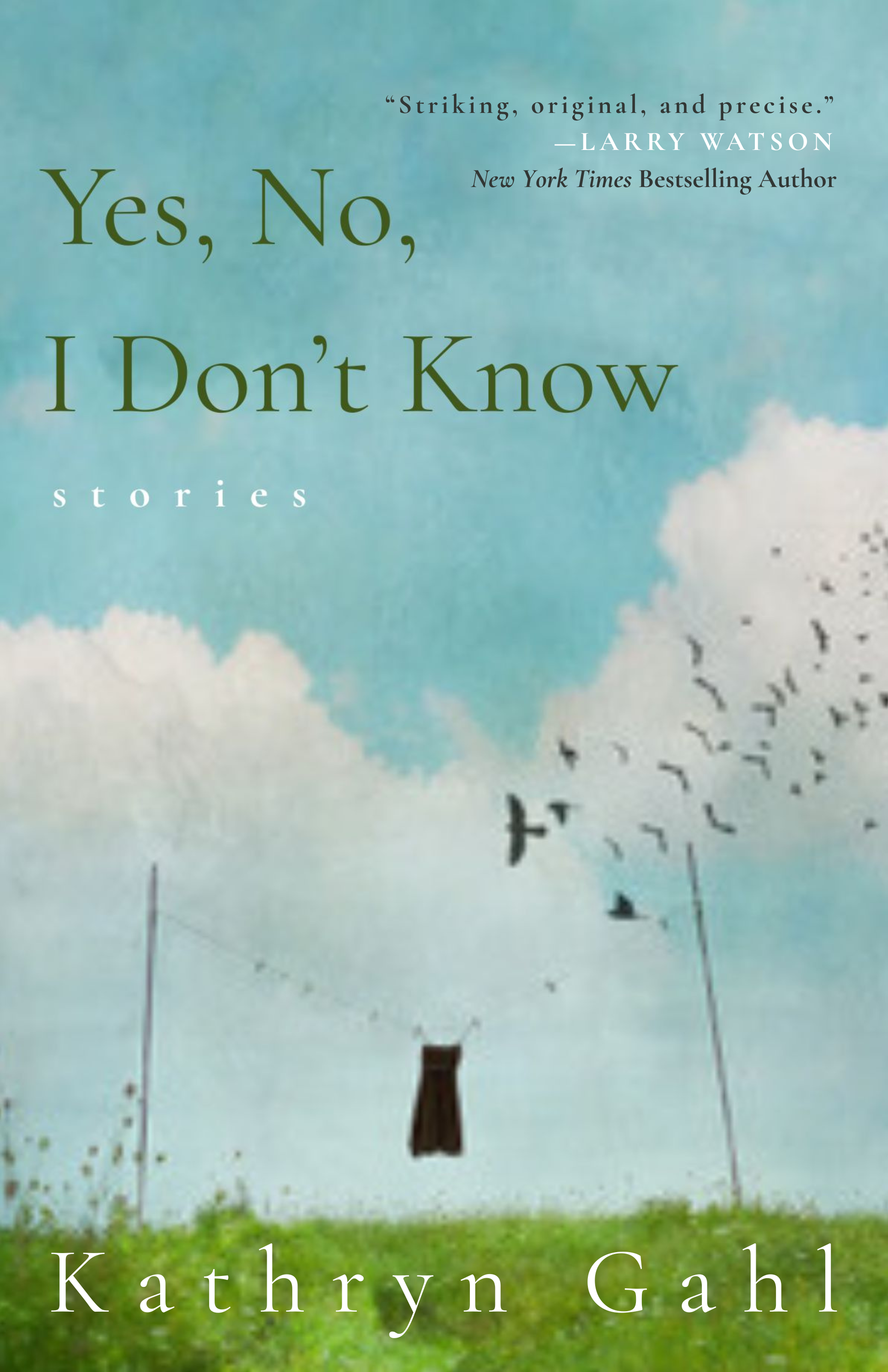 Even the Sky_Front Cover_FINAL.png