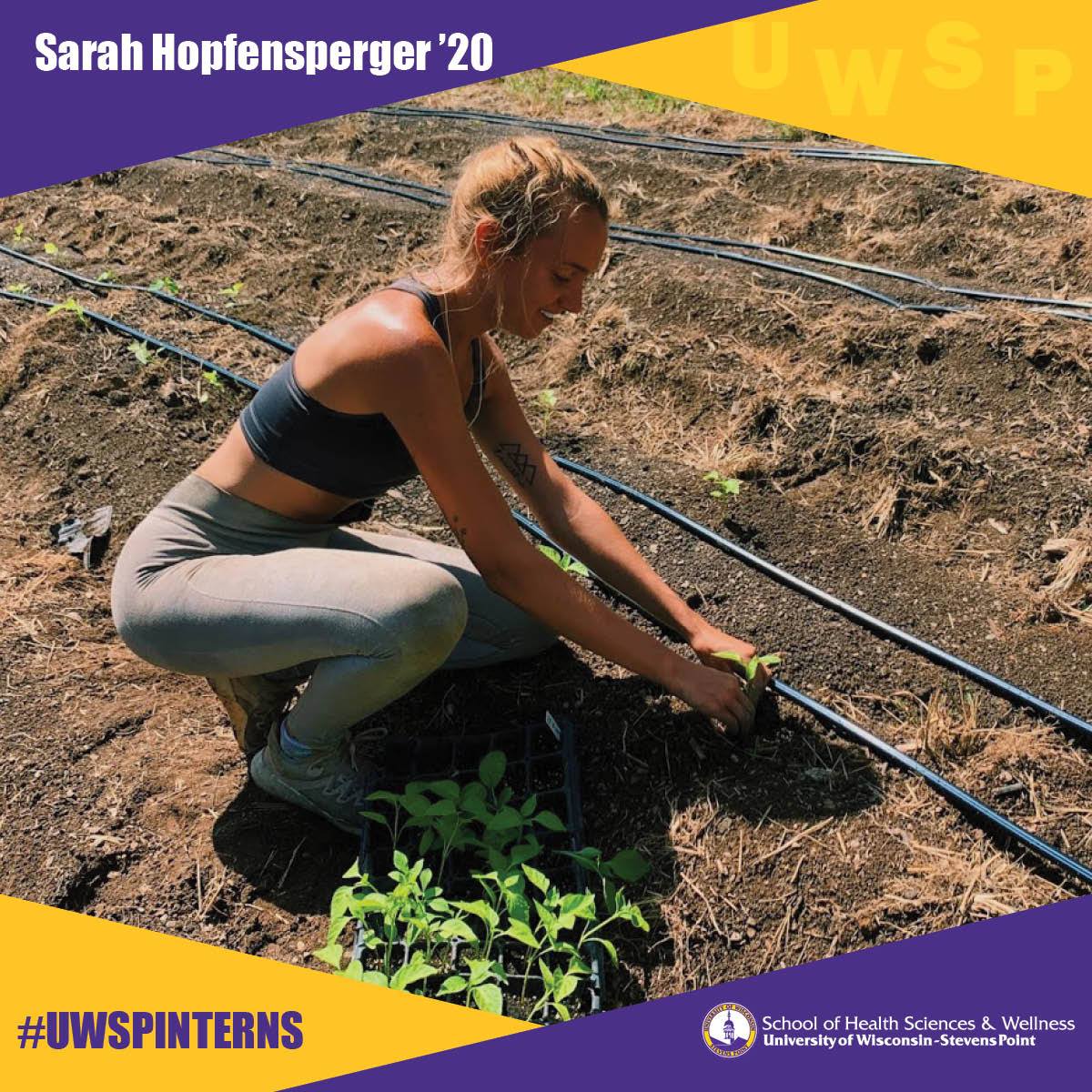 Sarah Hopfensperger