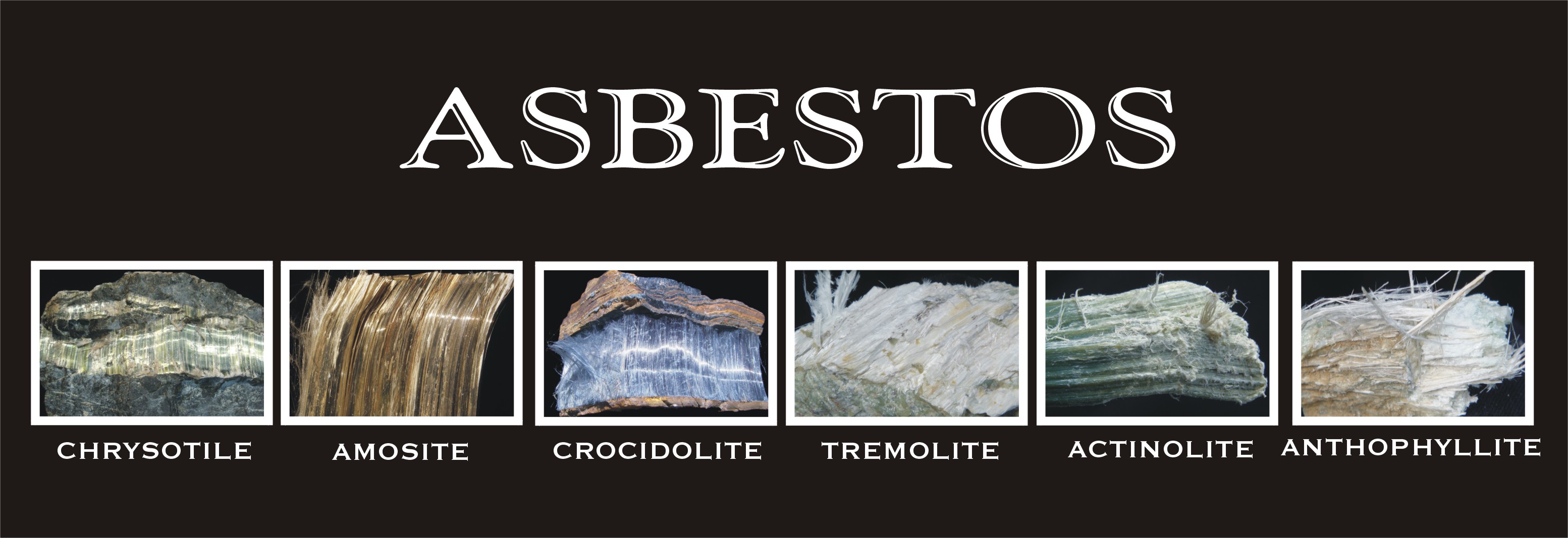 crocidolite asbestos