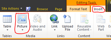 Image showing where to go to add a picture to your site