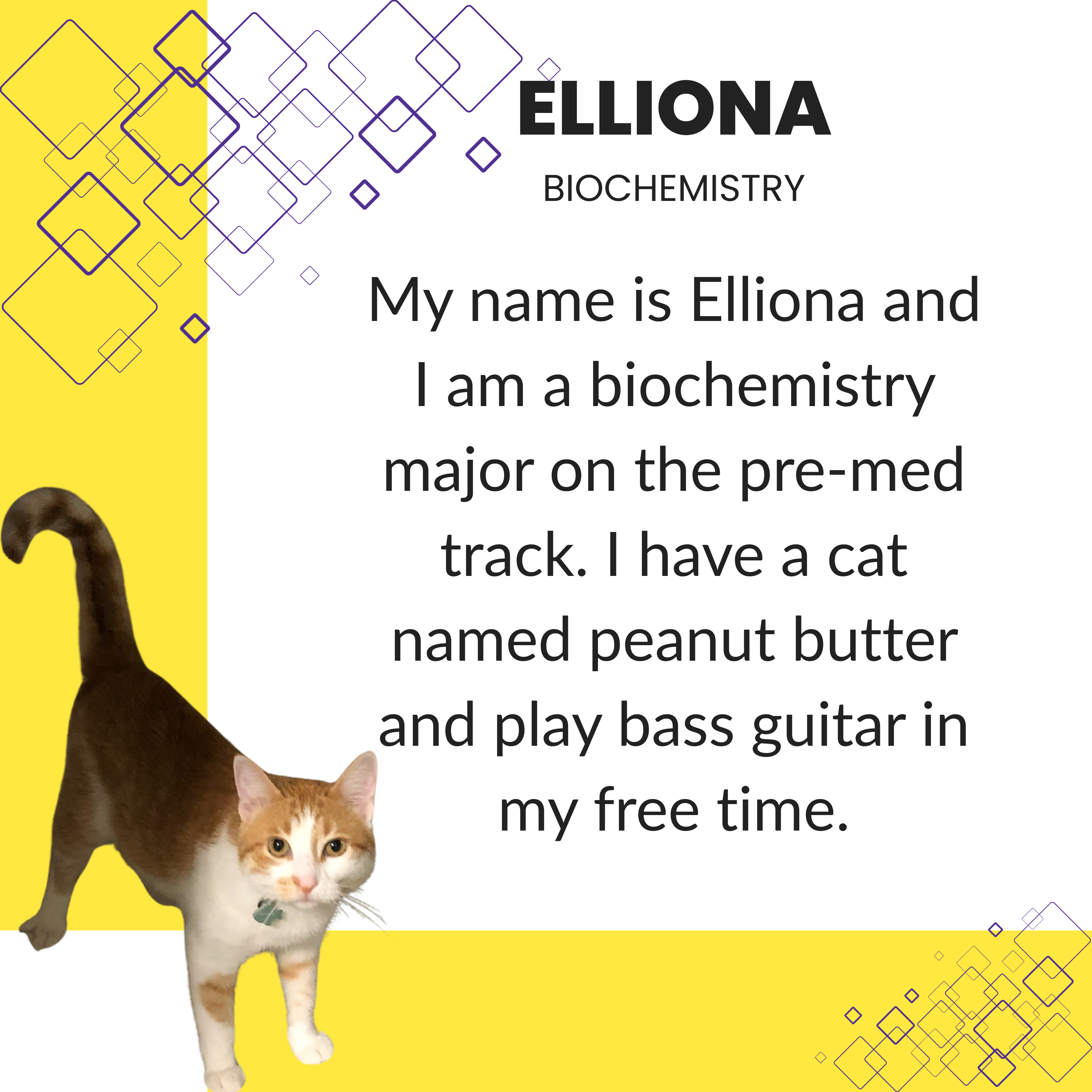 Elliona.png