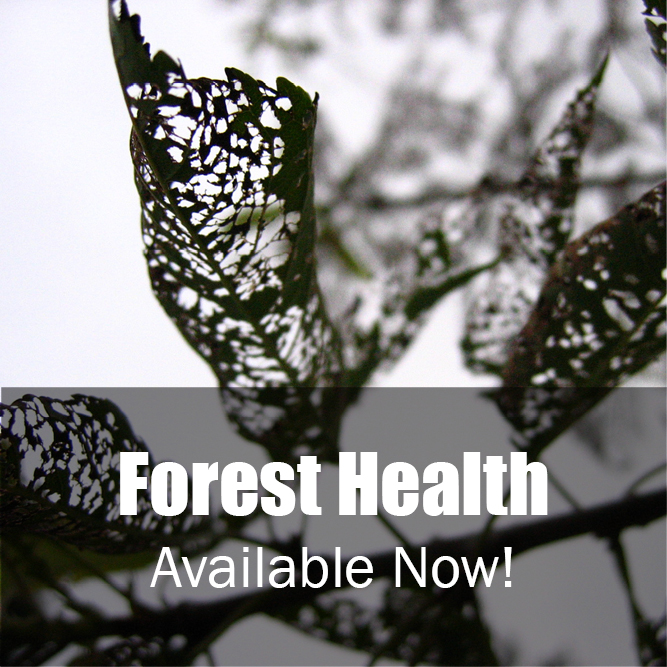Forest Health.jpg
