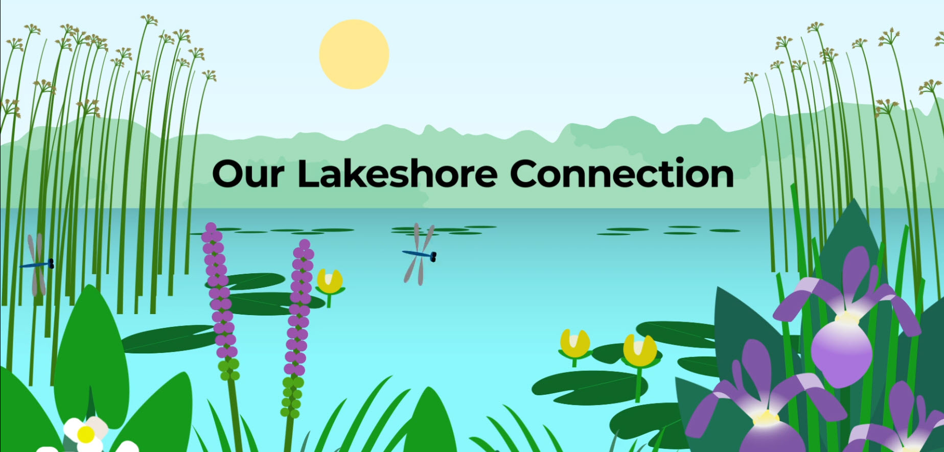 Our Lakeshore Connection CoverB.jpg