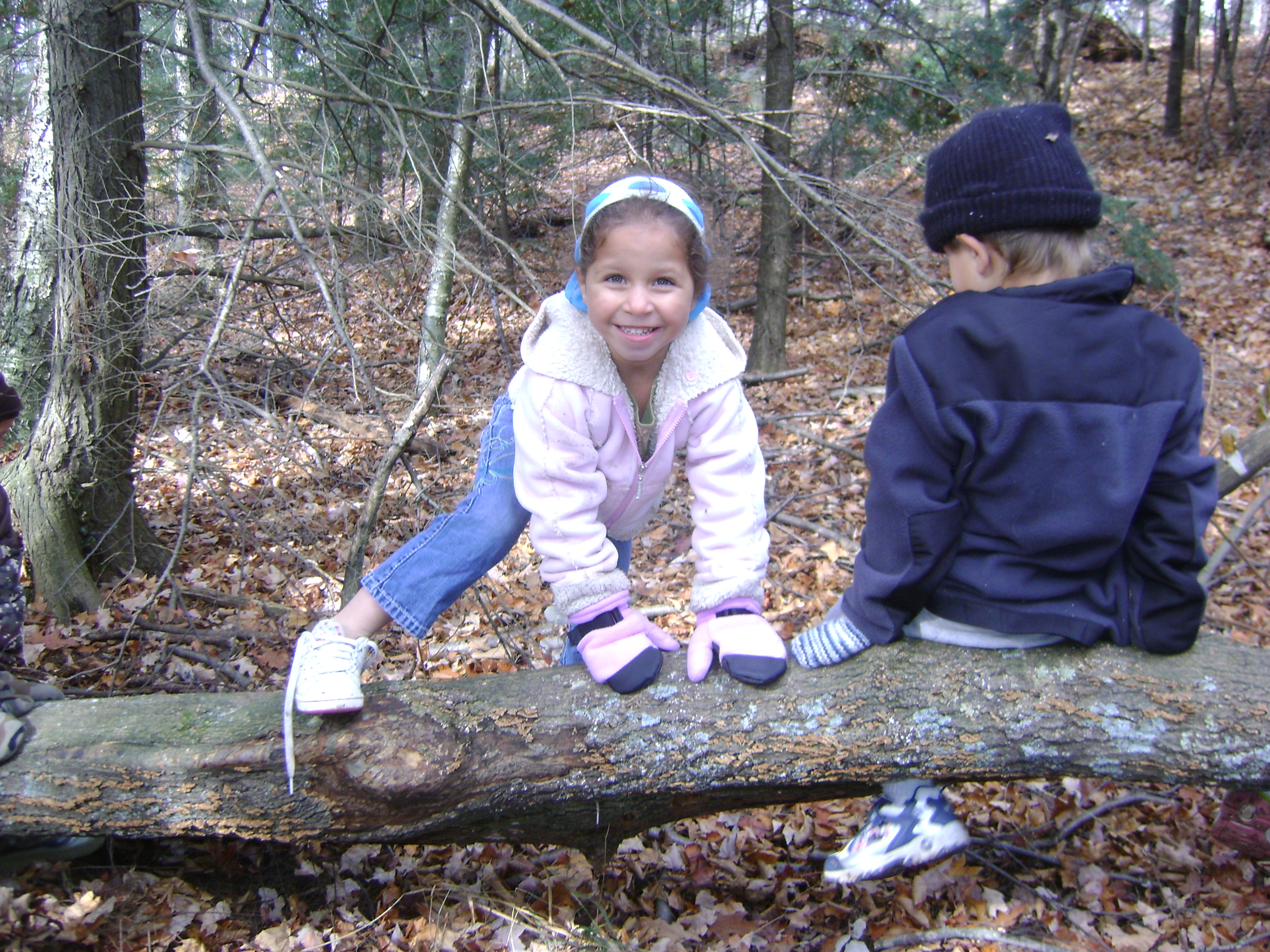 Two children on a downed tree