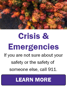 Photo of trees changing color in autumn