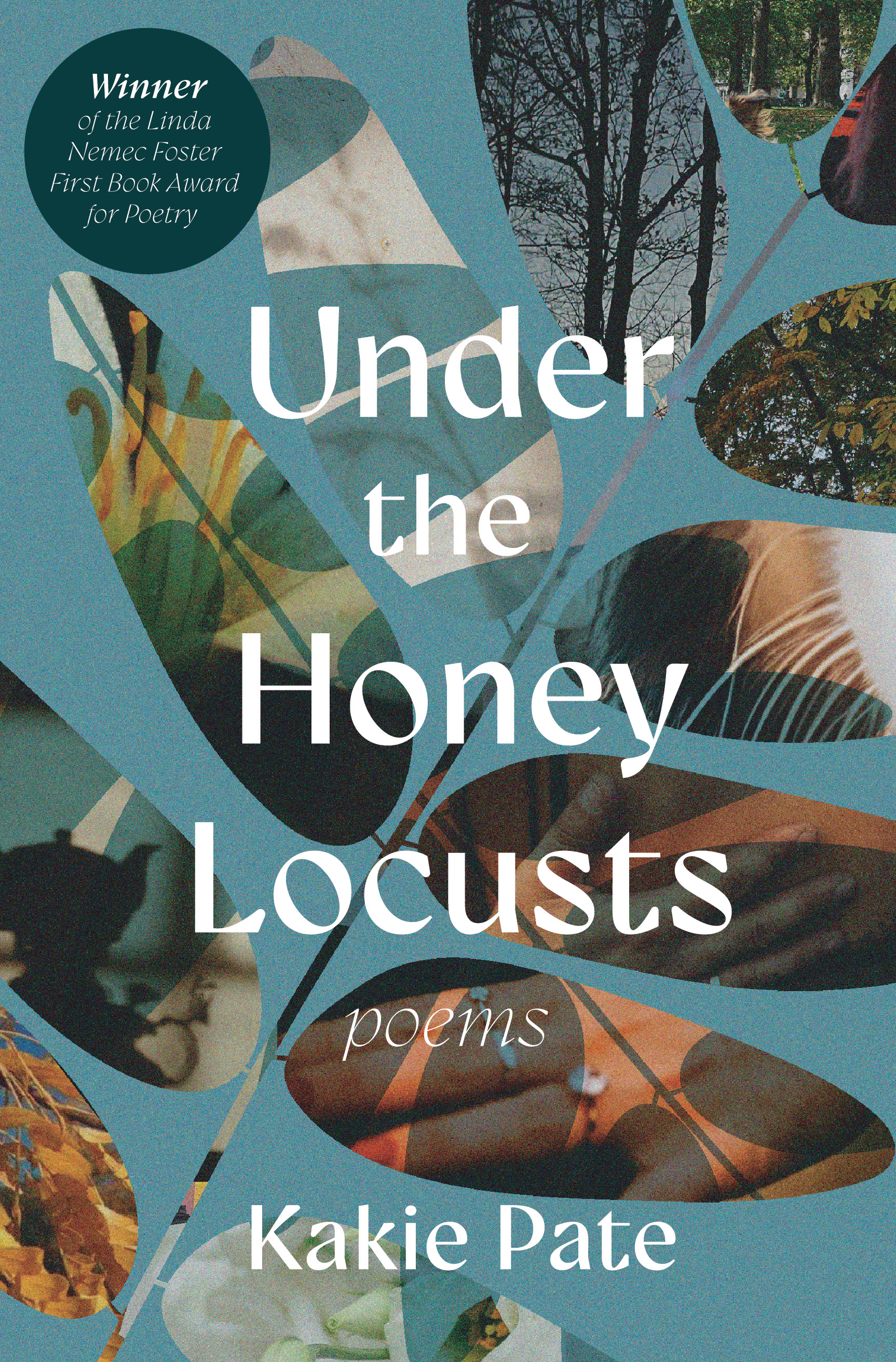 Under the Honey Locusts Cover 3.jpg